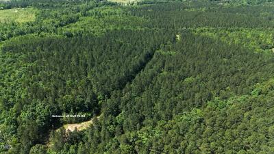 Lot 13 Wolf Pit Rd Road photo 10