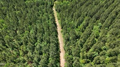 Lot 13 Wolf Pit Rd Road photo 11