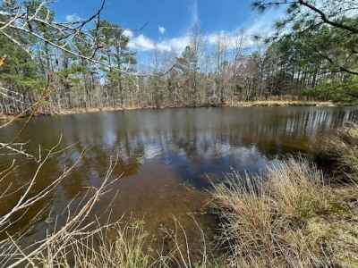 10.159 Acres on Brassfield Road — Pond, Pasture, South Granville photo 5