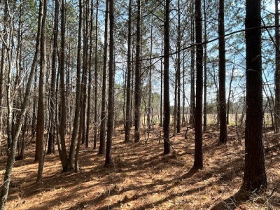 10.159 Acres on Brassfield Road — Pond, Pasture, South Granville photo 8