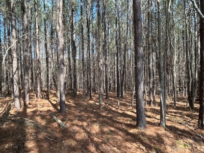 10.159 Acres on Brassfield Road — Pond, Pasture, South Granville photo 9