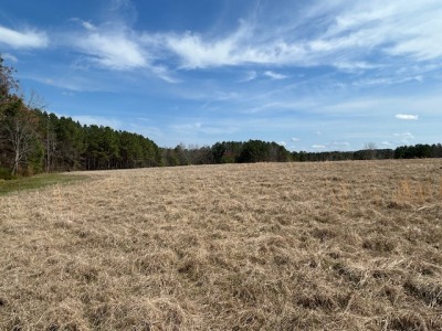 10.159 Acres on Brassfield Road — Pond, Pasture, South Granville photo 12