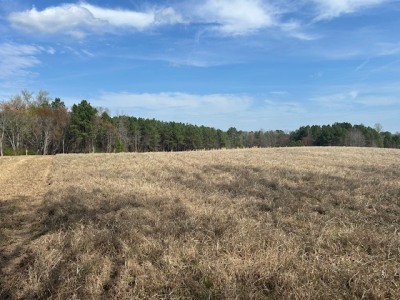 10.159 Acres on Brassfield Road — Pond, Pasture, South Granville photo 13