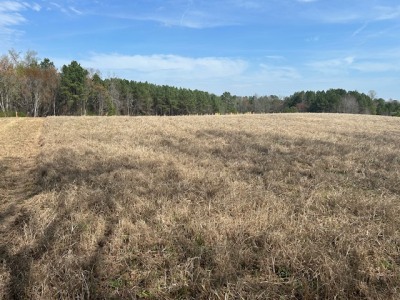 10.159 Acres on Brassfield Road — Pond, Pasture, South Granville photo 14