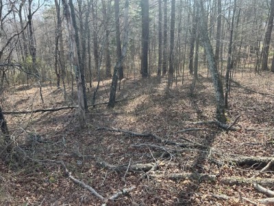 10.159 Acres on Brassfield Road — Pond, Pasture, South Granville photo 15