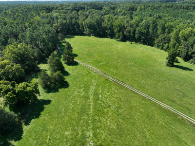 Cannady Mill Farms — Homestead Tracts photo 5