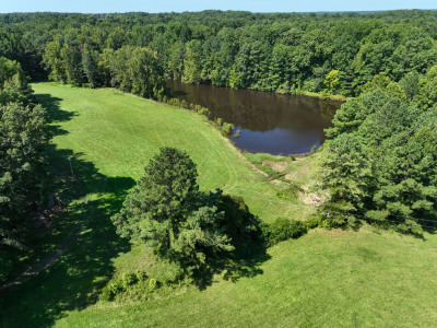 Cannady Mill Farms — Homestead Tracts photo 7
