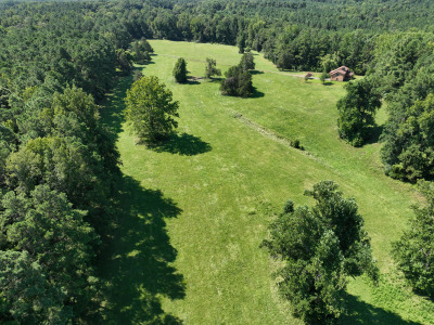 Cannady Mill Farms — Homestead Tracts photo 12