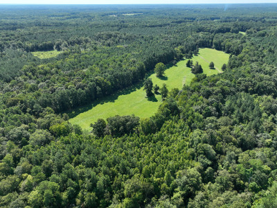Cannady Mill Farms — Homestead Tracts photo 15
