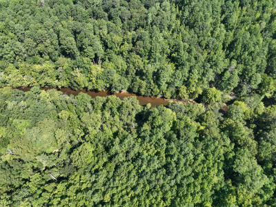 Cannady Mill Farms — Homestead Tracts photo 19
