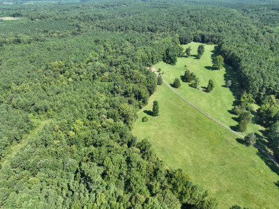 Cannady Mill Farms — Homestead Tracts photo 20