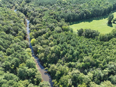 Cannady Mill Farms — Homestead Tracts photo 21
