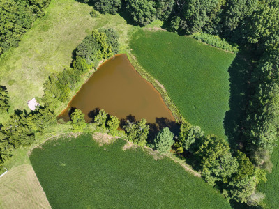 Cannady Mill Farms — Homestead Tracts photo 24