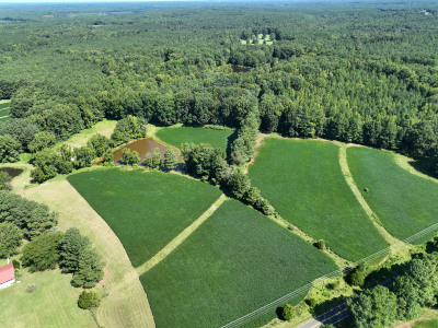 Cannady Mill Farms — Homestead Tracts photo 25