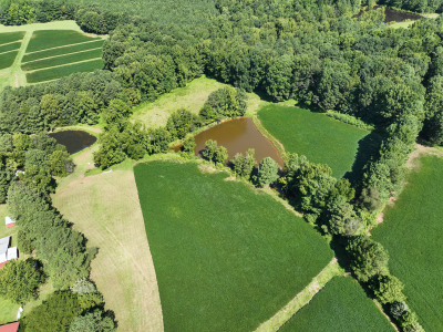 Cannady Mill Farms — Homestead Tracts photo 28