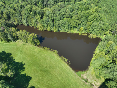 Cannady Mill Farms — Homestead Tracts photo 32