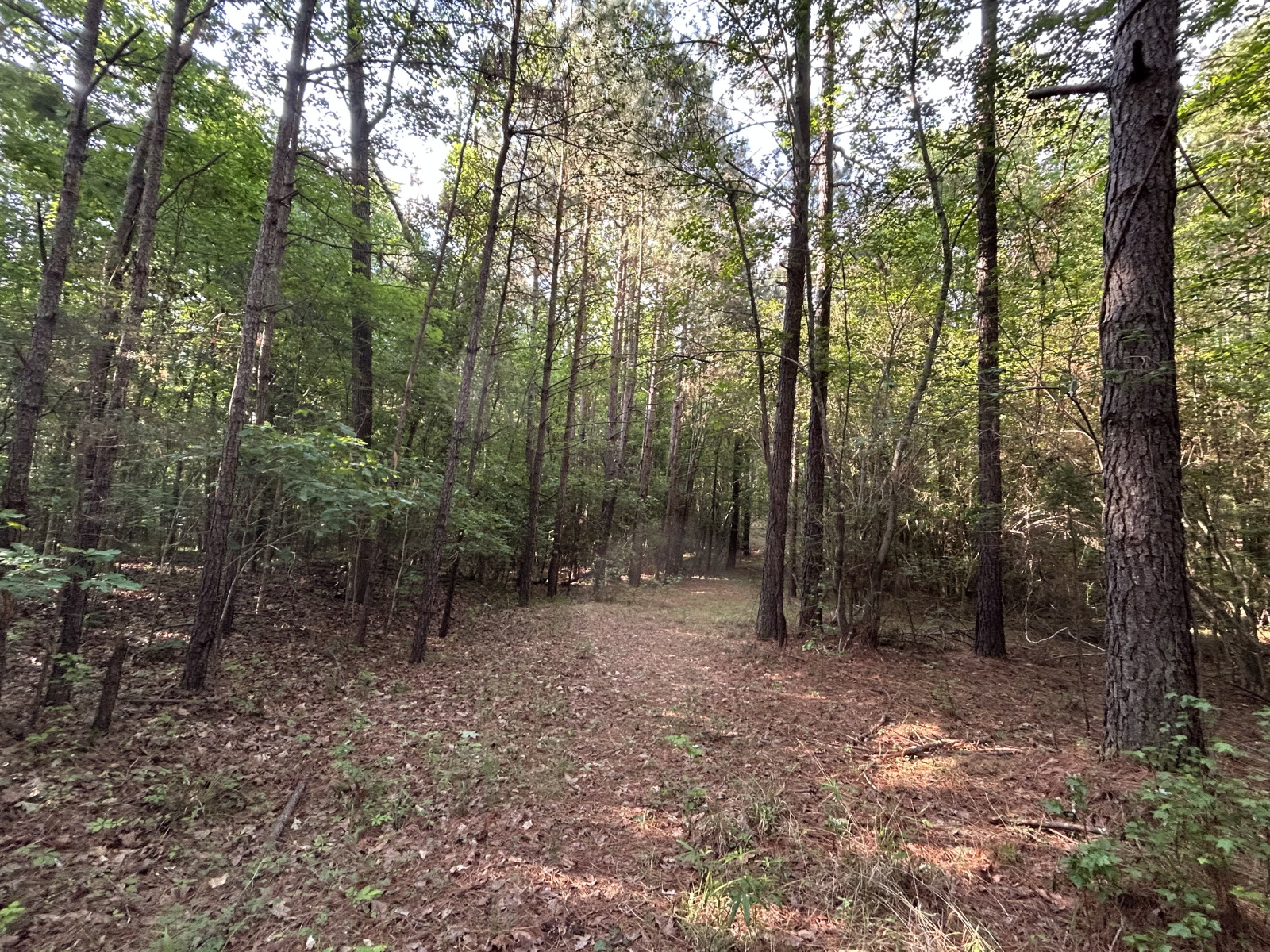 0 Beaver Dam Rd