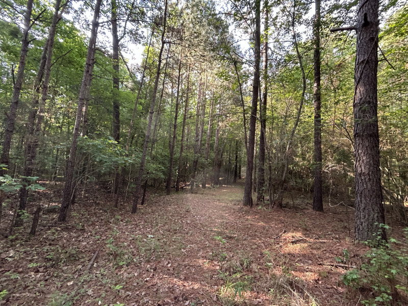 19.61 Acre Homesite on Beaver Dam Creek