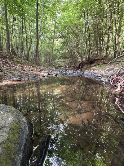 19.61 Acre Homesite on Beaver Dam Creek photo 9