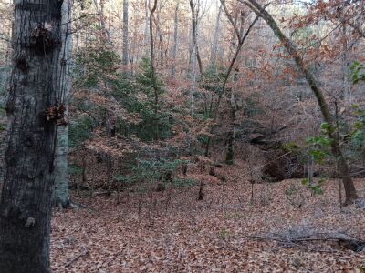 Seven 10–12 Acre Tracts — Southeast Granville photo 1