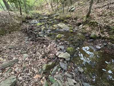 19.61 Acre Homesite on Beaver Dam Creek photo 14