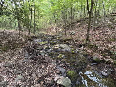 19.61 Acre Homesite on Beaver Dam Creek photo 15
