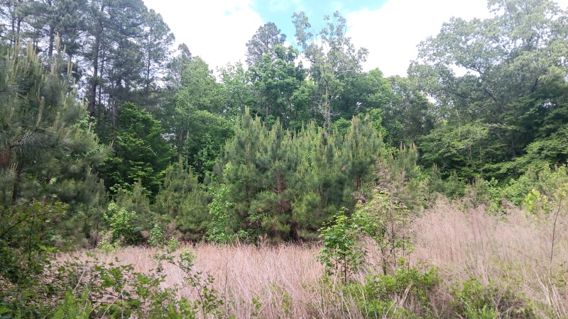 North Wake 10+ Acres adjoining Falls Lake land
