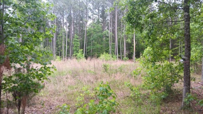 North Wake 10+ Acres adjoining Falls Lake land photo 2