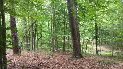 North Wake 10+ Acres adjoining Falls Lake land photo 3