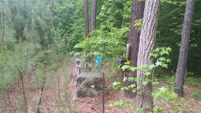 North Wake 10+ Acres adjoining Falls Lake land photo 5