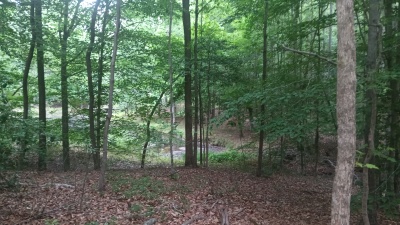 North Wake 10+ Acres adjoining Falls Lake land photo 8