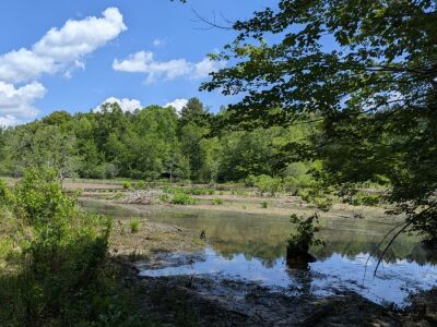 12+ Acres East of Louisburg photo 12