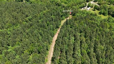 32 Acres — Merchantable Timber photo 9