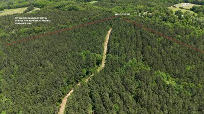 32 Acres — Merchantable Timber photo 10