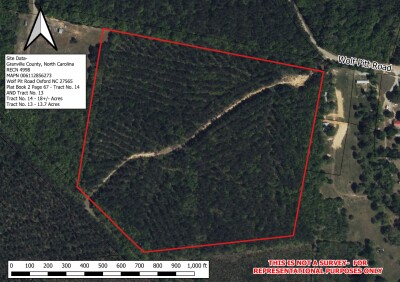 32 Acres — Merchantable Timber photo 13