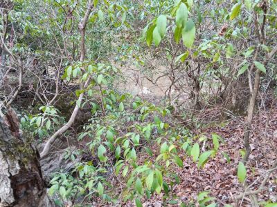 10 Acres High Above Tar River photo 1