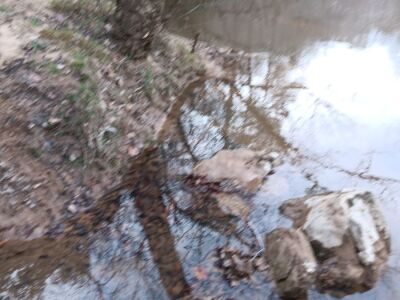 10 Acres High Above Tar River photo 4