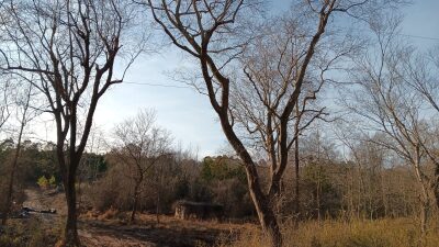 10 to 12+ Acres Near Louisburg photo 2