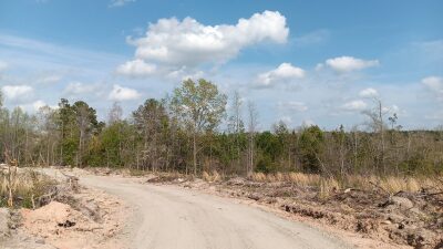 10 to 12+ Acres Near Louisburg photo 10