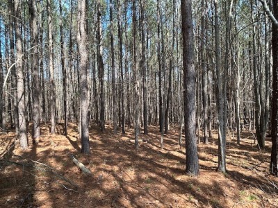 22.335 Acres on Brassfield Rd - Woodland, Pasture, South Granville photo 5