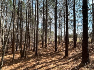 22.335 Acres on Brassfield Rd - Woodland, Pasture, South Granville photo 6