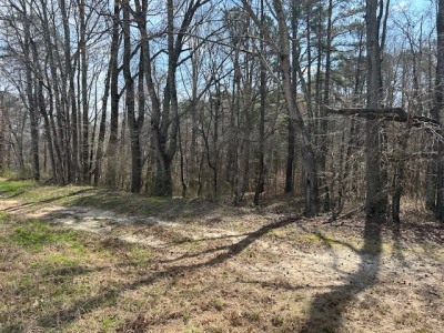 22.335 Acres on Brassfield Rd - Woodland, Pasture, South Granville photo 8