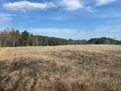 22.335 Acres on Brassfield Rd - Woodland, Pasture, South Granville photo 12