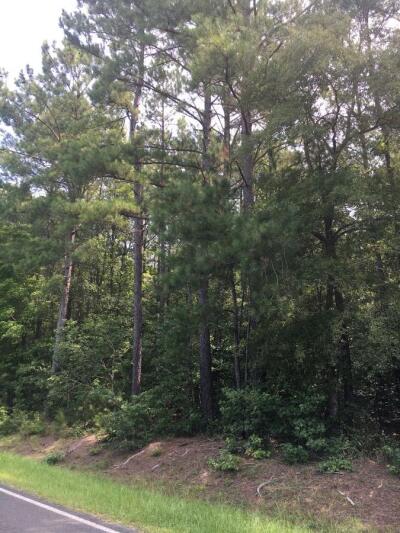 Roadside Lots — Vick Road, Spring Hope photo 4