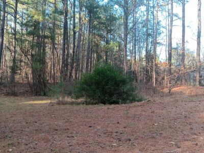 New Light Road, North Wake County, old house and building. Close in. photo 2