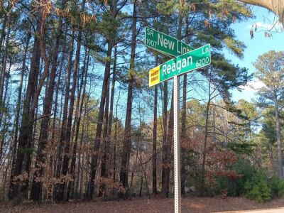 New Light Road, North Wake County, old house and building. Close in. photo 7