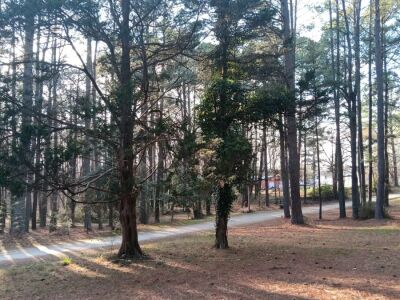 New Light Road, North Wake County, old house and building. Close in. photo 9