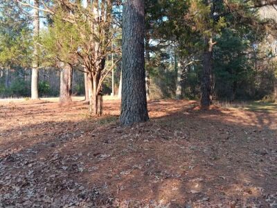 New Light Road, North Wake County, old house and building. Close in. photo 12