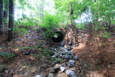 2.89 Acres of Wooded Privacy Near the Cape Fear River & Harris Lake photo 11