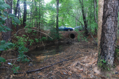 2.89 Acres of Wooded Privacy Near the Cape Fear River & Harris Lake photo 12